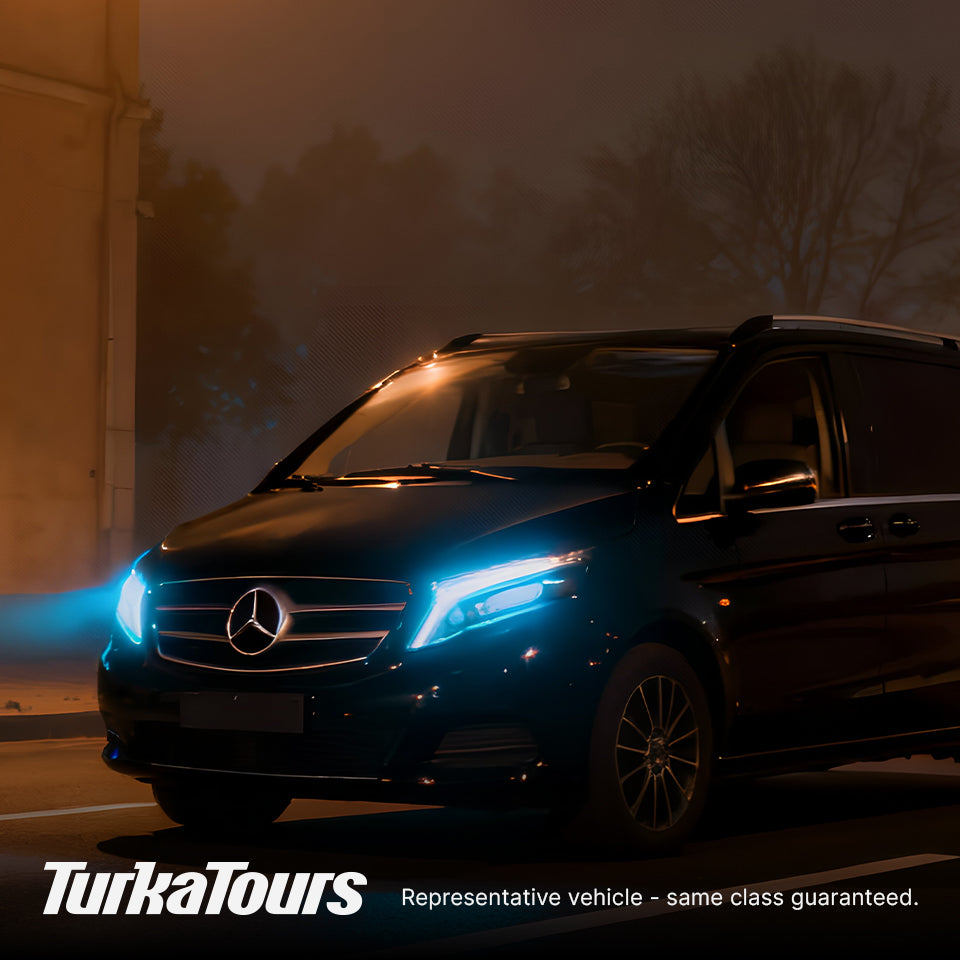 Standard Vito